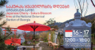 16-17.04.2022: Тбилисский ботанический сад проведёт дни цветения сакуры - Туристическая компания "Silk Road Group"